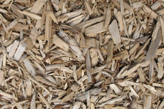 biomass boilers Penybont